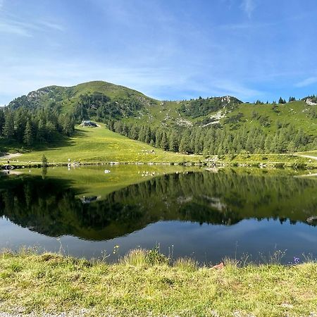 Апартаменти Flatzerhof Гаус-ім-Енншталь Екстер'єр фото