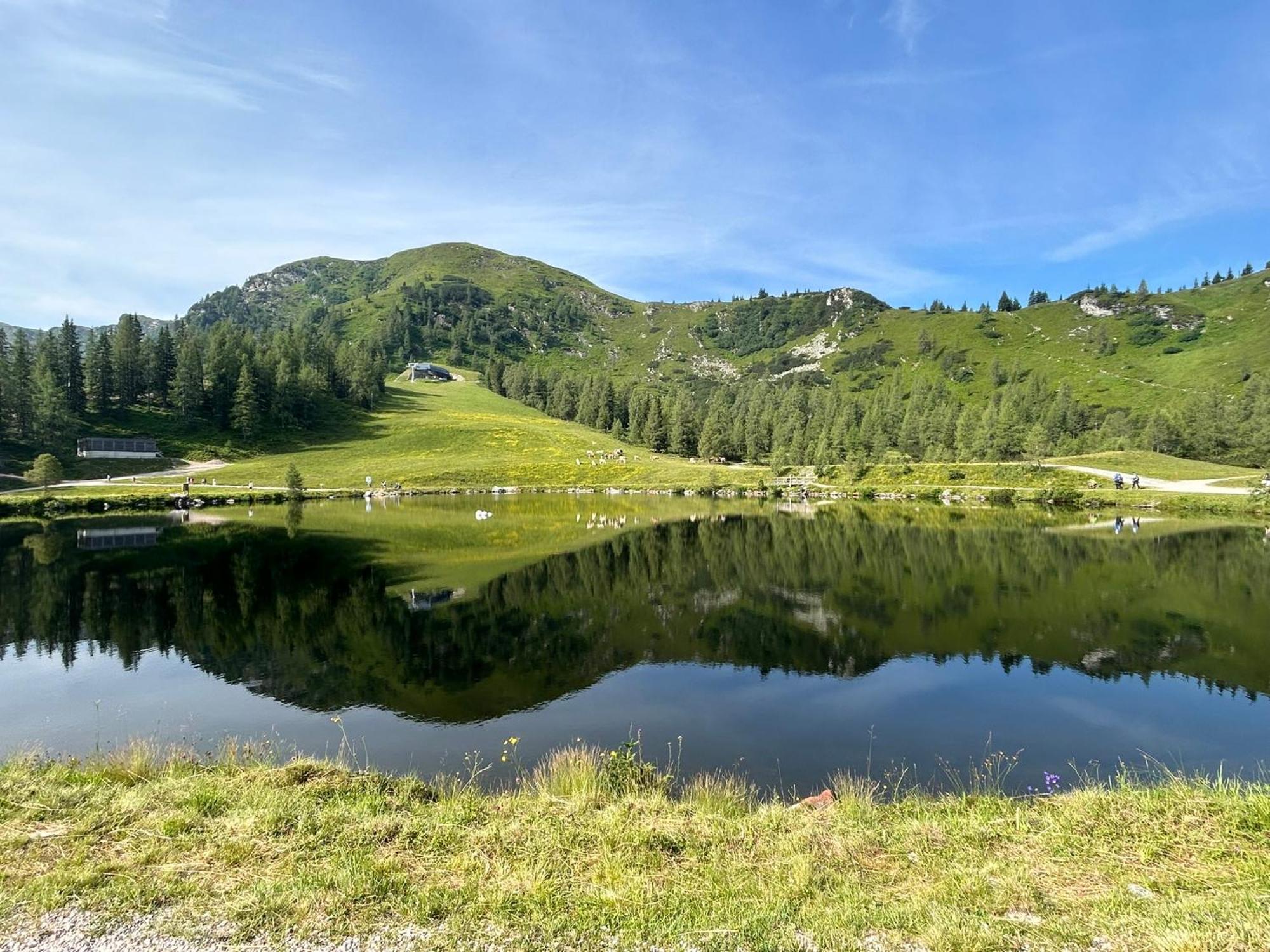 Апартаменти Flatzerhof Гаус-ім-Енншталь Екстер'єр фото